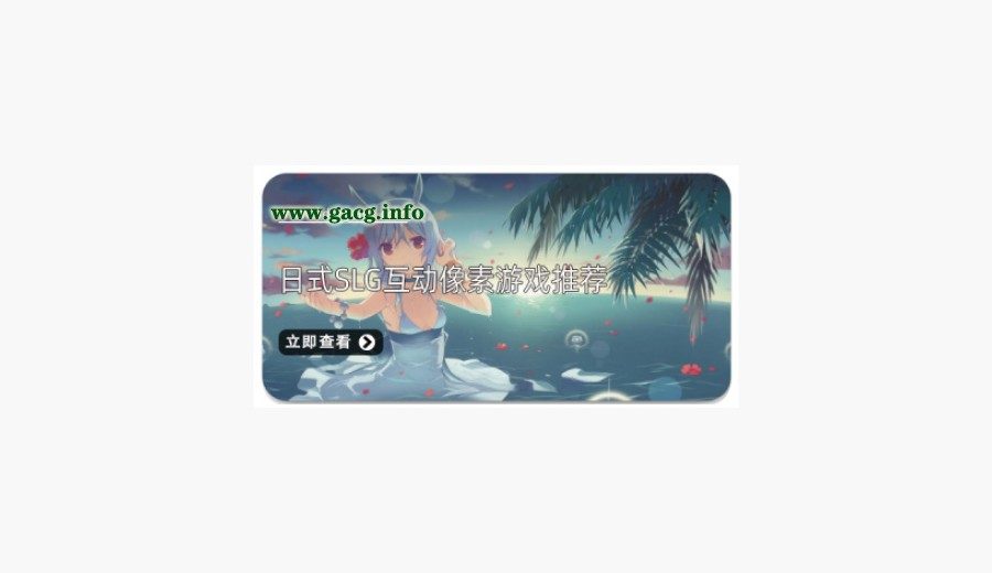 社经典合集32个游戏 攻略要点 资料图